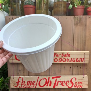 Chậu trồng cây nhựa trắng size 23