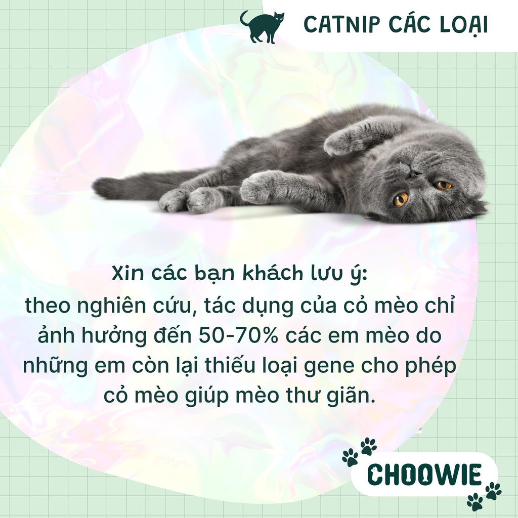 Cỏ mèo dán tường Catnip mèo đồ chơi cho mèo giúp mèo xả stress Choowie Pet Shop