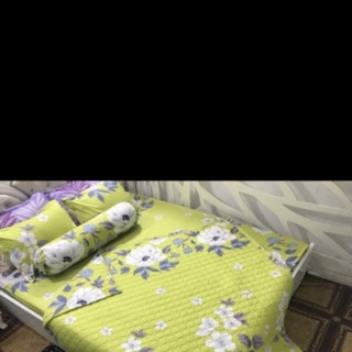 Sét chăn hè ga chun poly