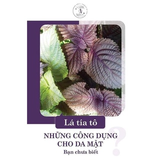 Combo Kem + Sữa rửa mặt Adela