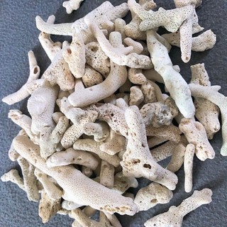 San hô biển 5kg trang trí bể cảnh,tiểu cảnh