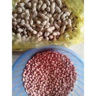 Lạc quê( đậu phộng) 1