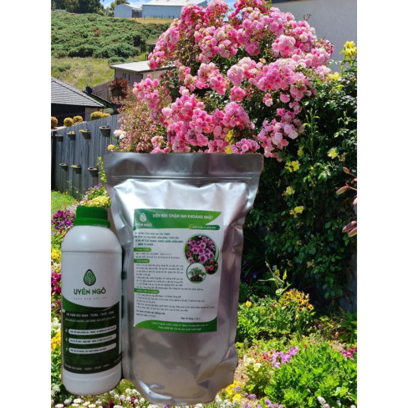 combo 1 đậu tương ủ trứng chuối humic+1 kg phân Nhật