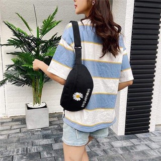 Túi bào tử nhỏ