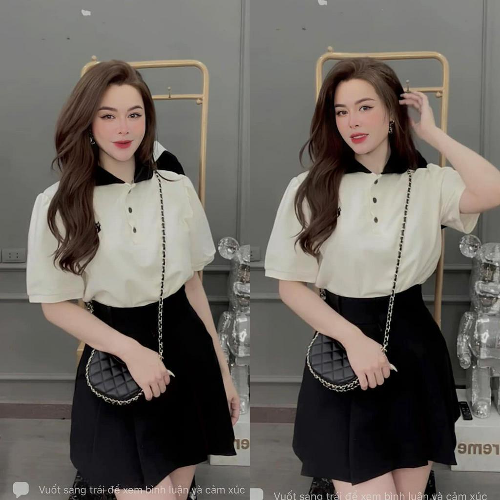 Áo phông polo cổ pha cài cúc in hình mèo con 4 màu