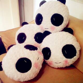 Gấu Trúc plushie
