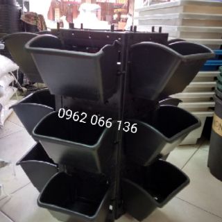 Combo 24 chậu treo tường đứng- HỎA TỐC