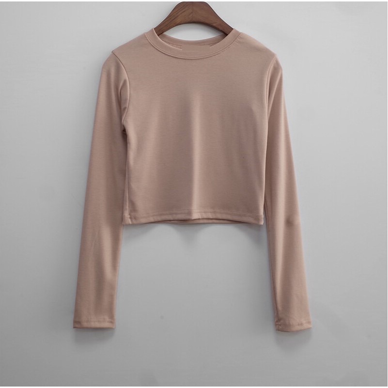 Áo Ôm Lửng Dài Tay Nhiều Màu Hani Crop T J-BLIN