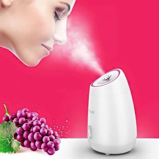 Máy Xông Mặt Hoa Quả magic