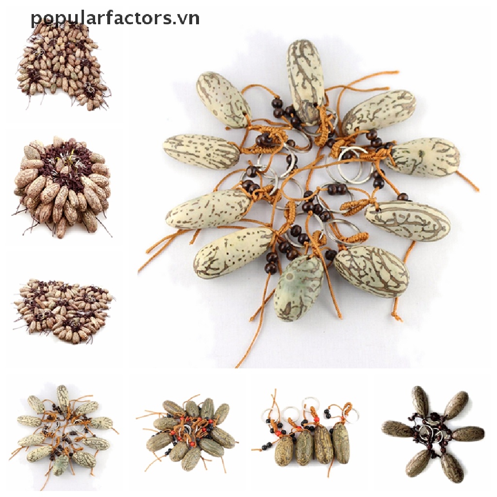 1 Móc Khóa Hình Trái Cây Bồ Đề Nhựa Kích Thước 6cm 1 Móc Khóa Hình Trái Cây Bồ Đề Bằng Nhựa Kích Thước 6cm 1 Chiếc