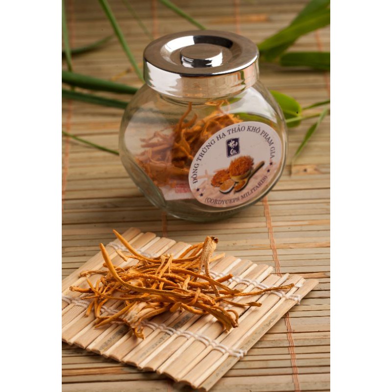đông trùng hạ thảo Phạm Gia ( lọ 10g)