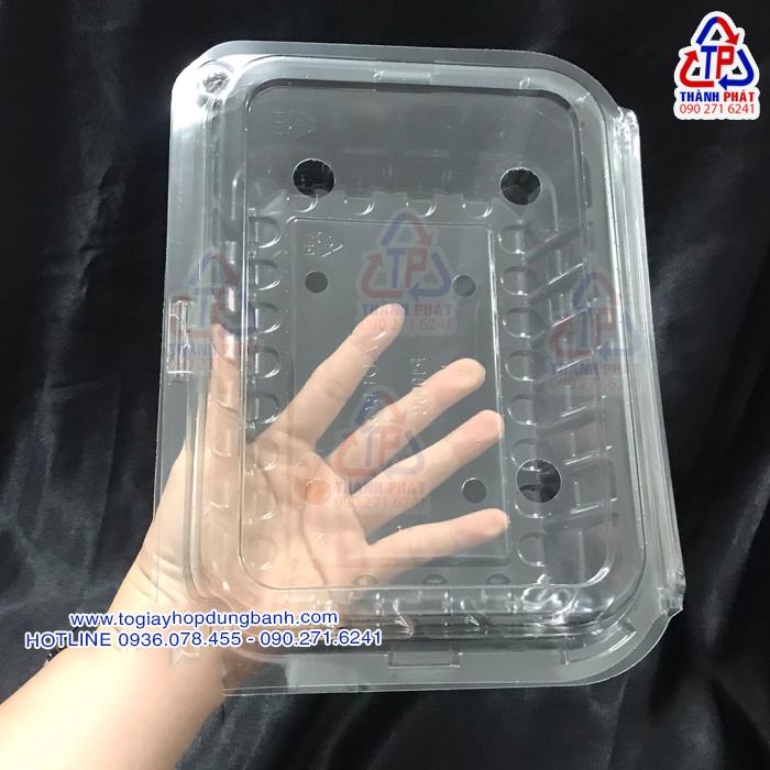 50 Hộp P1000C -2015 - Hộp đựng 4 trái táo - Hộp đựng trái cây nhập khẩu 1kg-2kg