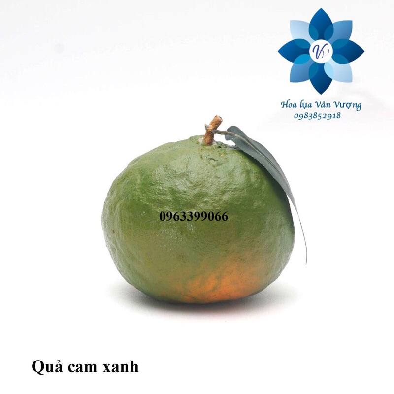 Trái cây giả - quả giả bốn mùa giống thật 99%, hàng đẹp và sẵn kho