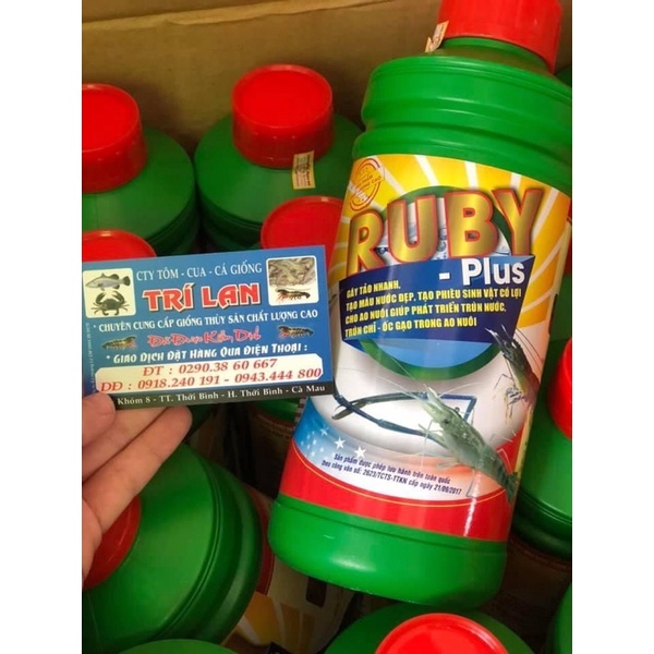 RUBY - PLUS Khoáng chất gây tảo, tạo màu nước trong nuôi trồng thủy sản.