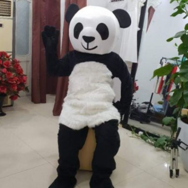 Quần áo hoá trang Mascot Gấu trúc Panda - sinh nhật, sự kiện