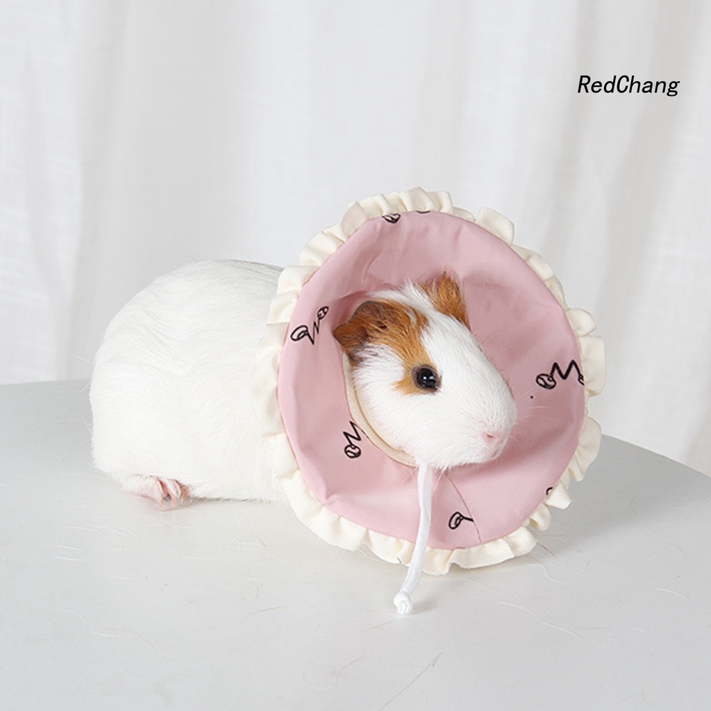 Vòng Cổ Bảo Vệ Chống Liếm Dành Cho Chuột Hamster