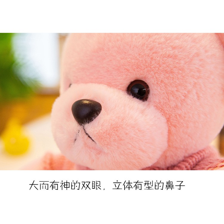 Gâu Bông Teddy Cao Cấp Áo Len Size Nhí 25cm (3 Màu) [ Diabrand ]