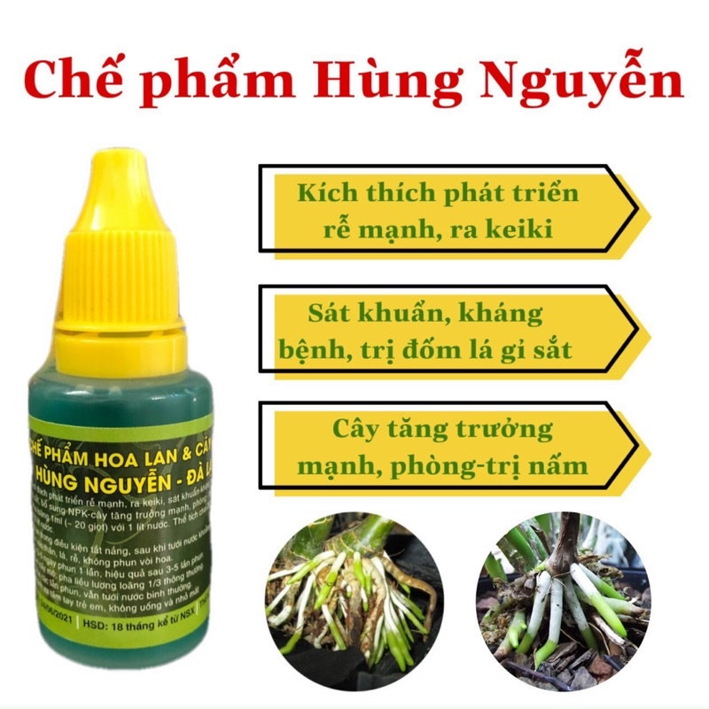 Chế Phẩm Hùng Nguyễn - Phân Bón Phong Lan - Kích Ra Hoa - Trị Nấm - Phòng Ngừa Bệnh