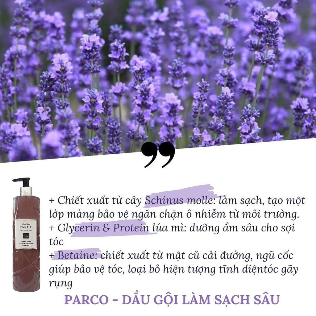 Dầu gội DETOX làm SẠCH SÂU BỒNG BỀNH, KIỂM SOÁT DẦU NHỜN 48H PARCO- Kiểm soát dầu nhờn,sạch sâu da đầu khói bụi ô nhiễm.