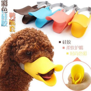 Rọ mõm mỏ vịt cho chó