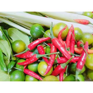 COMBO HỦ NHỎ CHÂN GÀ NGÂM SẢ TẮC VÀ CHAI 330ML MUỐI ỚT XANH