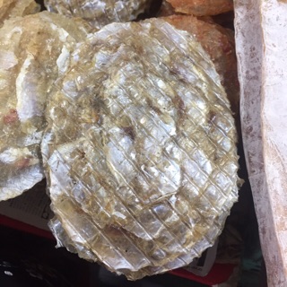 Cá bò loại 1