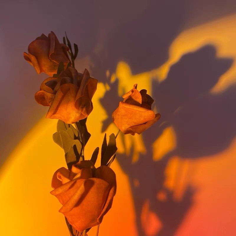 Đèn cầu vồng Rosé, đèn hoàng hôn thơ mộng cực chill - Décor nhà Sò