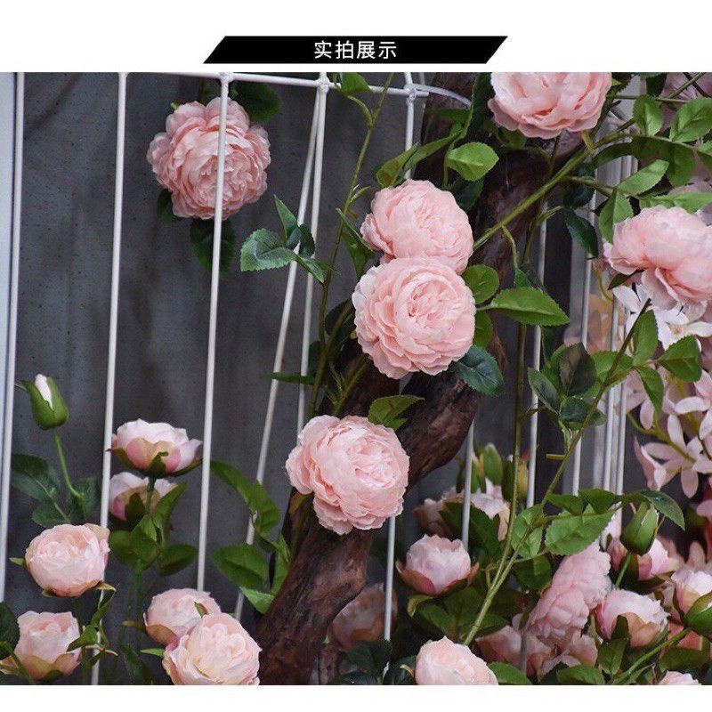 Dây trà mao lương trang trí nhà cửa , ban công _Dây hoa trang trí