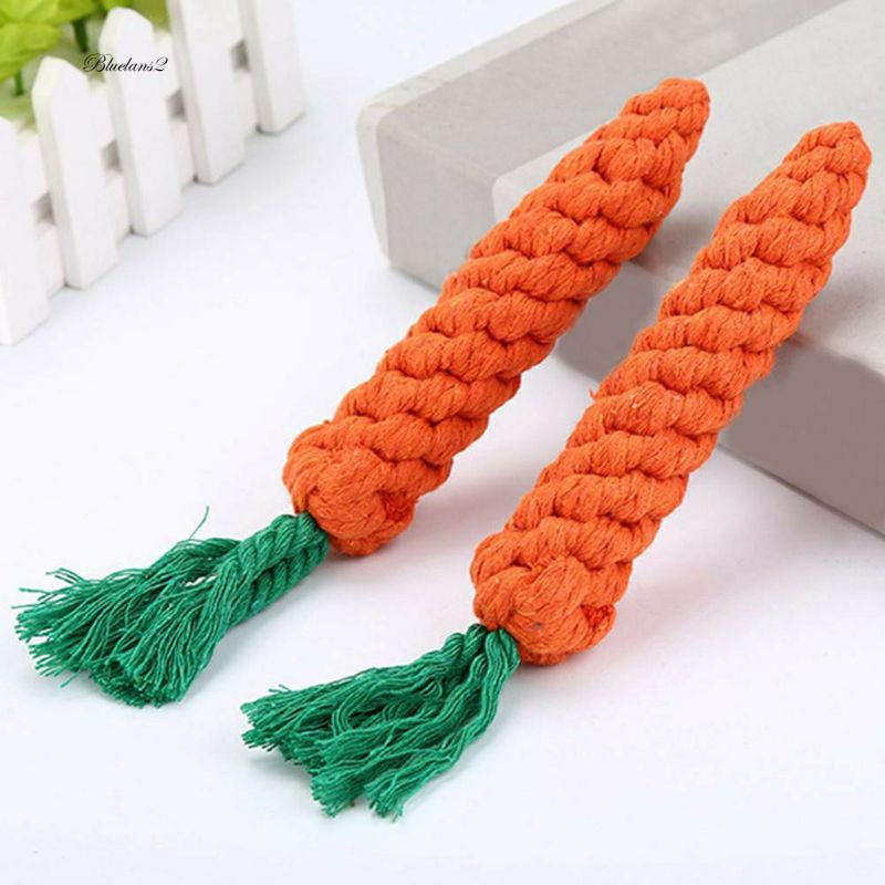 Đồ chơi cà rốt bện thừng cho chó mèo