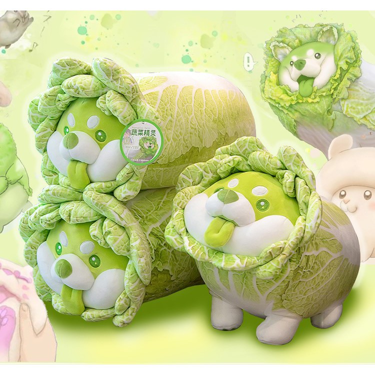Gấu bông chó shiba bắp cải Vegetable Fairy siêu dễ thương kích thước 30-35-45cm NEOCI
