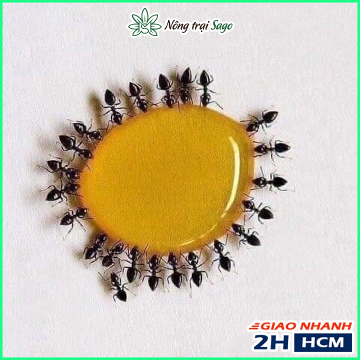 Thuốc Diệt Kiến Gián Sinh Học, Diệt Kiến Nhanh, Tận Gốc (chai 10ml) - Nông Trại Sago