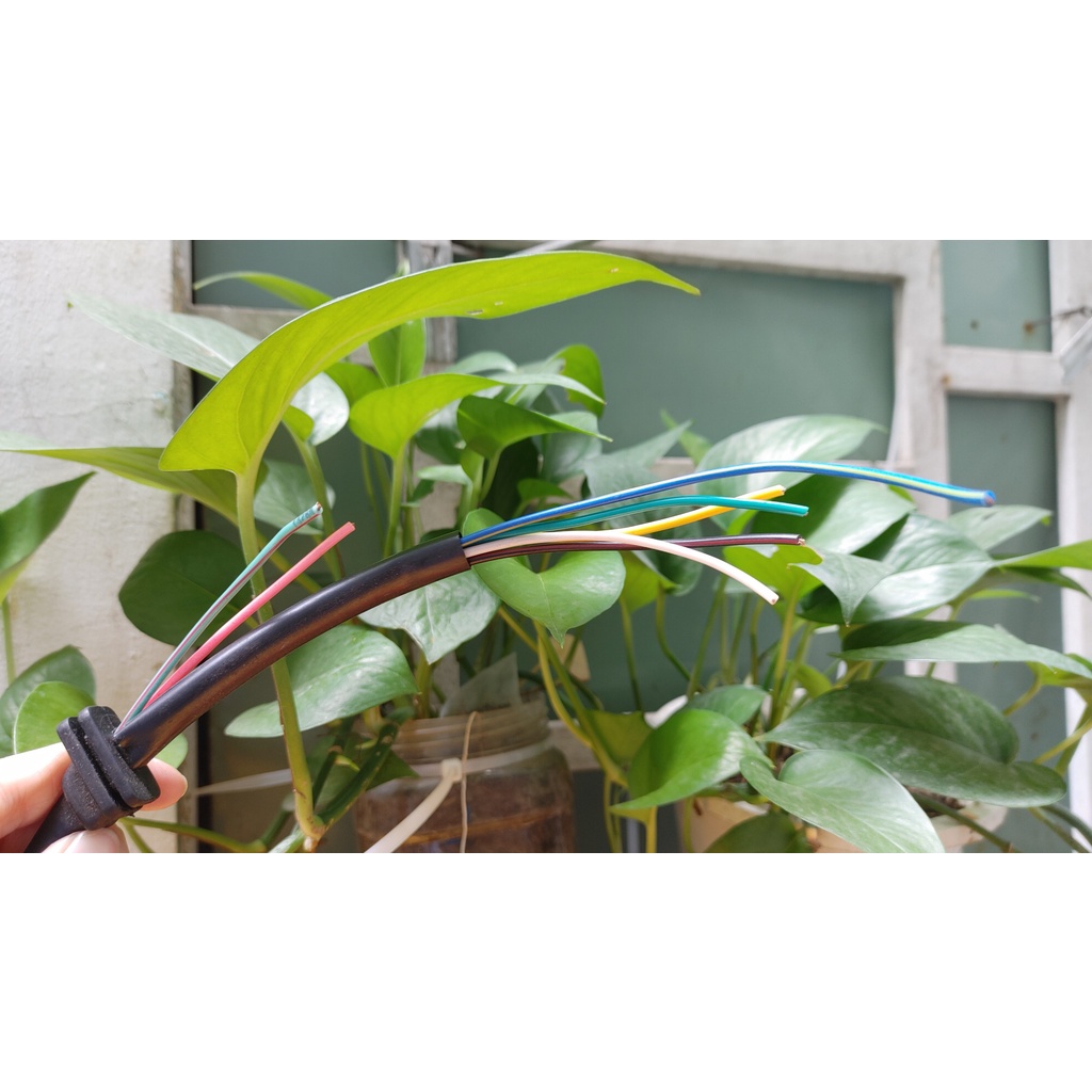 Dây điện mâm lửa dream Thái