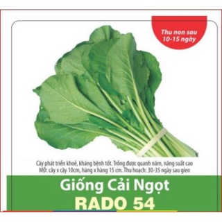 Hạt giống cải ngọt rado 54- 20g