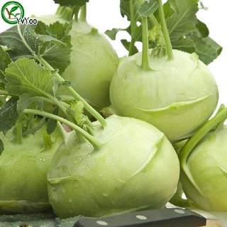 Phân phối Hạt giống Su hào xanh gói 0.5 gram xuất xứ Việt Nam hàng chính hãng, nhập khẩu và phân phối trực tiếp.