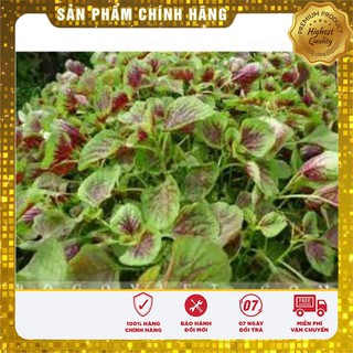 Hạt Giống Rau Dền Khoang(50gr)