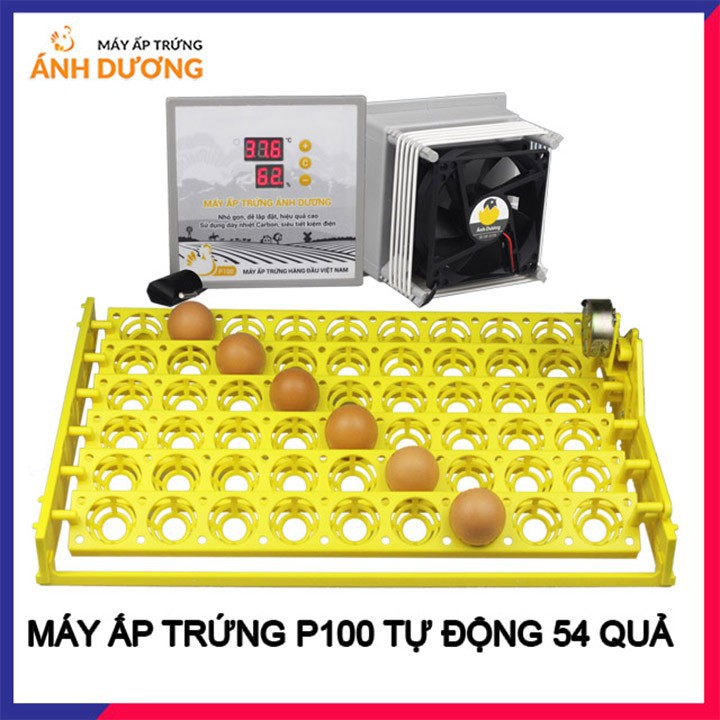 Máy ấp trứng Ánh Dương p100+khay đảo 54 trứng tự động