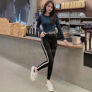 Quần legging hàn Ladya vải thun lưng cao cạp chữ phối sọc cực xinh M602