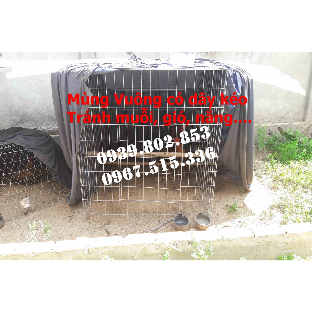 Mùng gà vuông kích thước 1mx1mx1,2m | Mùng vuông có dây kéo giá rẻ | Mùng gà nòi cho bội vuông | Màn vuông có dây kéo