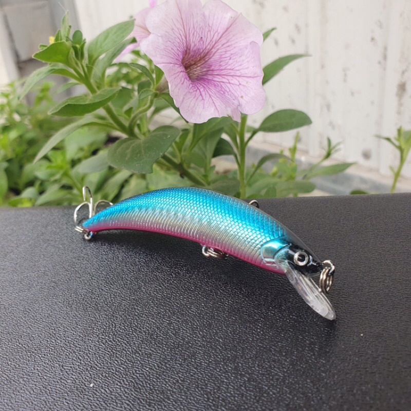 cá thân cong 9g dài 9.5cm