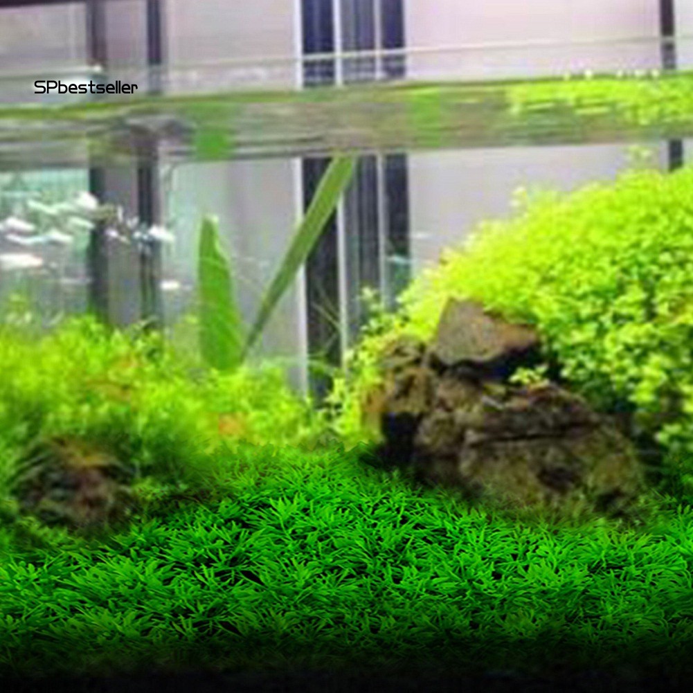Thảm cỏ nhân tạo dùng để trang trí bể cá