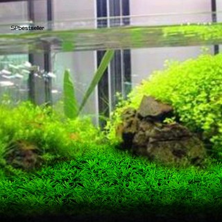 Thảm cỏ nhân tạo dùng để trang trí bể cá