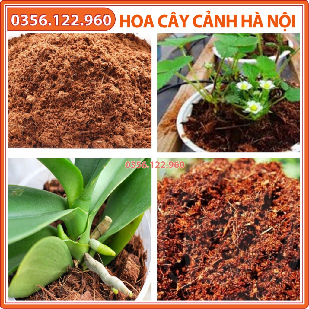 Xơ dừa, mùn dừa vụn, giá thể trồng cây từ thiên nhiên - gói 250g - Shop hoa cây cảnh Hà Nội