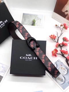 Thắt lưng Coach nữ