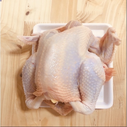 Gà dai nguyên con Hàn Quốc