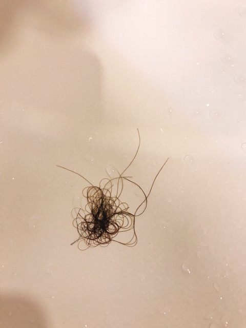 <Có quà tặng> Cặp dầu gội - dầu xả gừng nguyên xơ của cỏ cây hoa lá | BigBuy360 - bigbuy360.vn