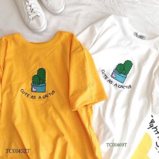 Áo thun  CUTE Á ÂCCTUS 8 màu
