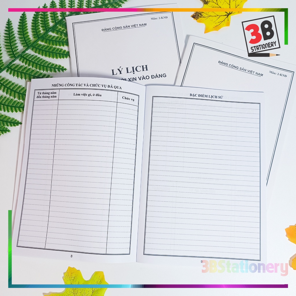 Lý lịch của người xin vào Đảng mẫu 02-KNĐ
