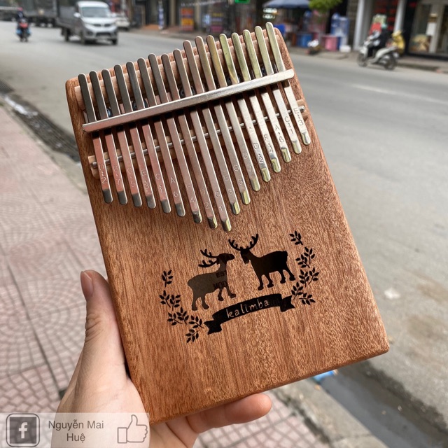 Đàn kalimba BWS 17 phím ( tặng đủ phụ kiện - bao test )