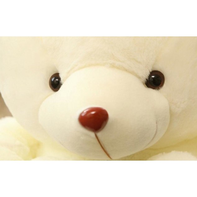 Gấu Bông Teddy Mềm Mại 50 / 70cm 84224207