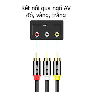 CÁP BÔNG SEN 3RCA JINGHUA A110